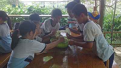 photo