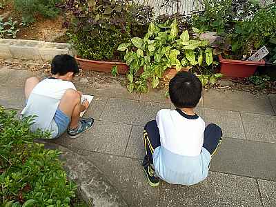 photo