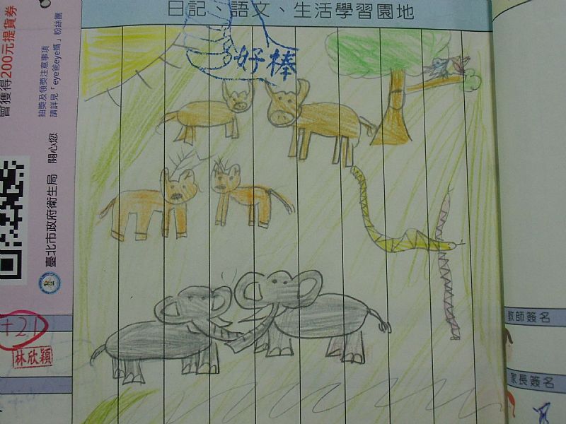 photo