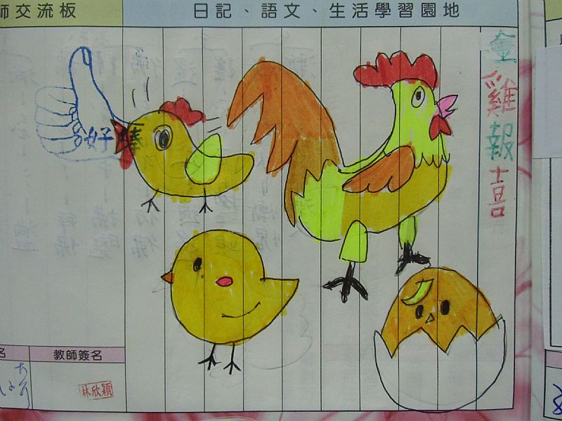 photo